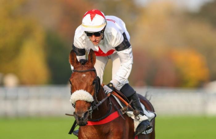 Samedi 16 novembre à Auteuil : Arnaud Chaillé-Chaillé encore