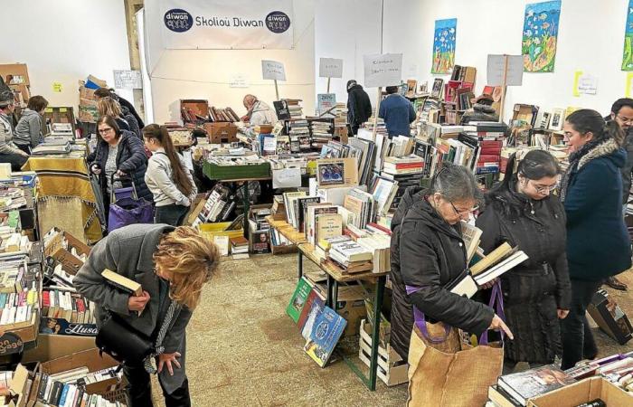 A Guingamp, le salon du livre scolaire Diwan « démarre très bien »