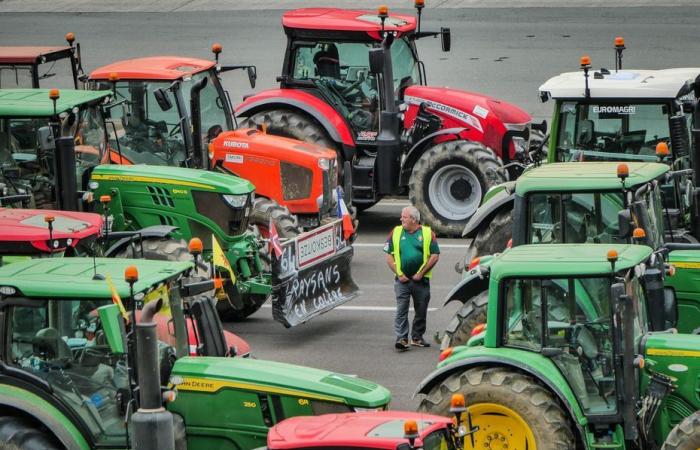 Soutenir l’agriculture française, oui, mais à quel prix ?