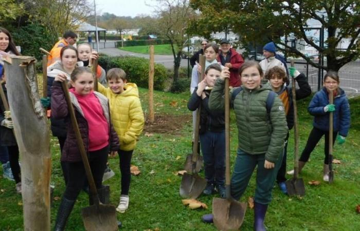 Argent. De jeunes élus ont planté des arbres à plusieurs endroits