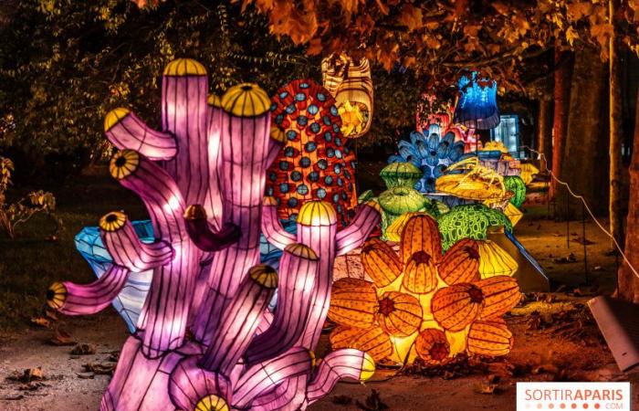 la fête des lumières 2024-2025 au Jardin des Plantes – photos