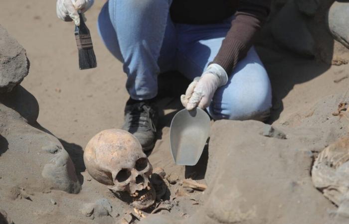 Des dizaines de corps d’enfants retrouvés sur un lieu de sépulture pré-inca, ils ont été sacrifiés pour des raisons horribles