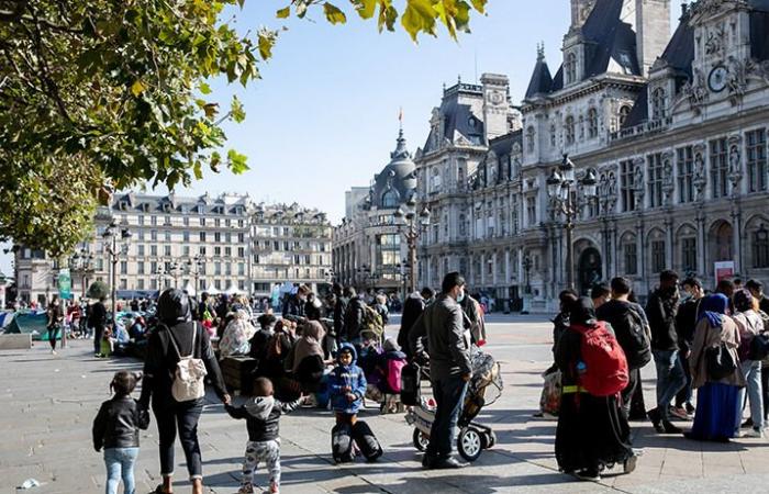 Une « forêt urbaine » devant la mairie de Paris