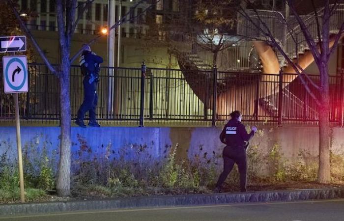 Gangs de rue et poursuites à pied : visite nocturne avec Éclipse