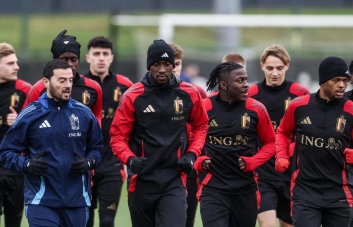 quatre Diables Rouges, dont Romelu Lukaku, absents de l’entraînement à la veille du match contre Israël (photo)