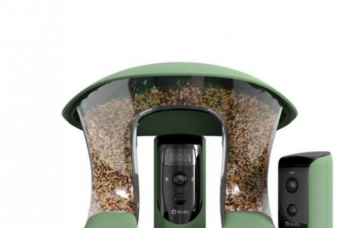 Testé pour vous : Birdfy Feeder 2 Duo