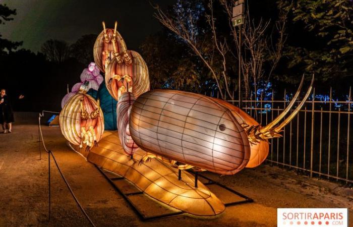 la fête des lumières 2024-2025 au Jardin des Plantes – photos