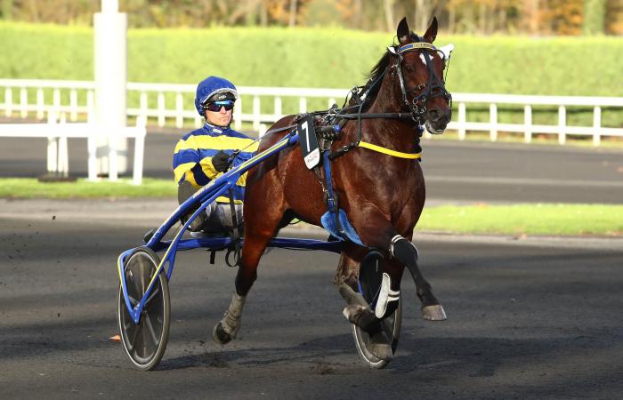 The Top 3 of Equidia journalists for the Prix de BretagneAmérique Races Q1 in Vincennes