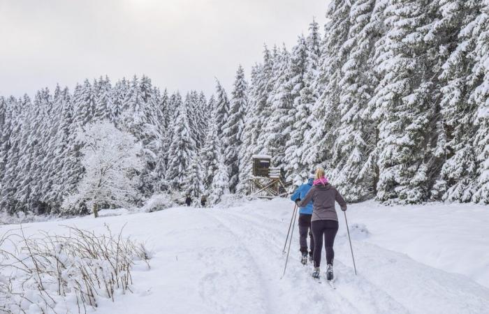 J’ai juré. Le massif se prépare à la lente disparition de la neige