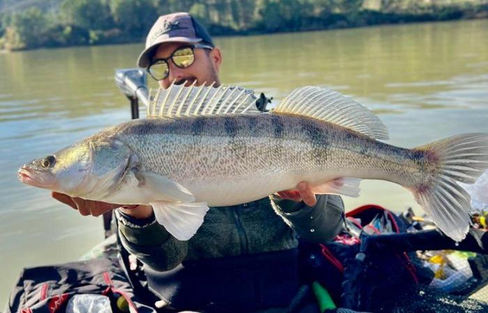 Quel est ce poisson que l’on pêche en automne sur les rivières de l’Aude ?