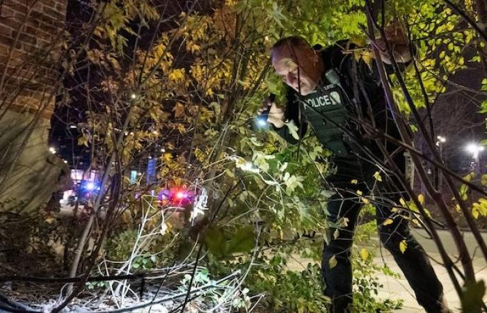 Gangs de rue et poursuites à pied : visite nocturne avec Éclipse