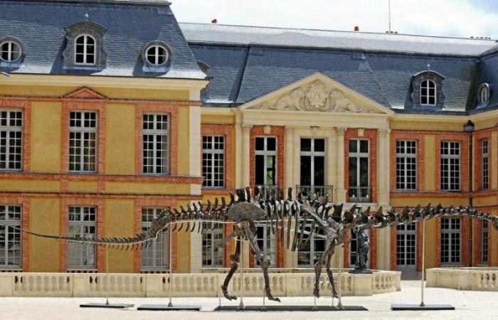 Le plus gros squelette de dinosaure vendu aux enchères en France pour 6 millions d’euros