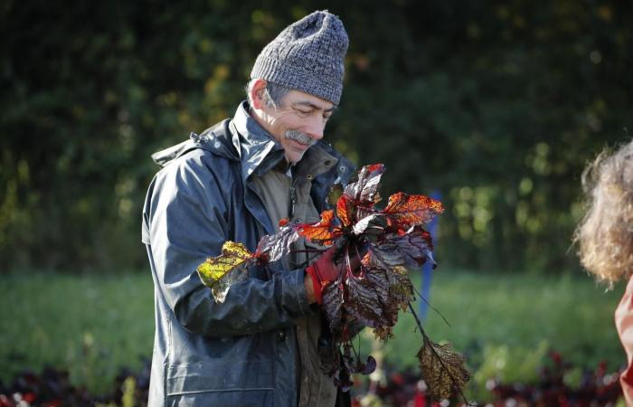 en Charente-Maritime, le succès des projets participatifs dans les exploitations agricoles