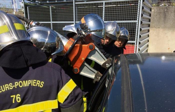 Près de Rouen, une voiture percute un arbre, une femme de 18 ans est tuée et un passager s’enfuit