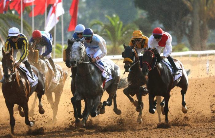 le cheval « Al Othmane » brille le premier jour