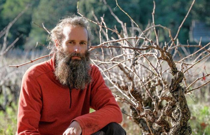 Laurent Mulero, vigneron à Montaud, a opté pour l’arrachage définitif