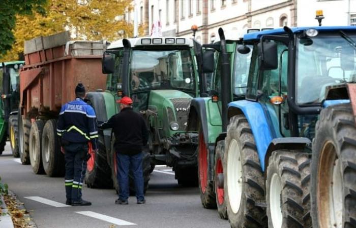 A10, N118… Les points de blocage prévus par les agriculteurs pour la mobilisation en Île-de-France ce dimanche