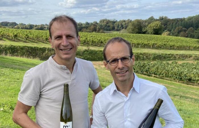 la désalcoolisation du vin est instaurée en France