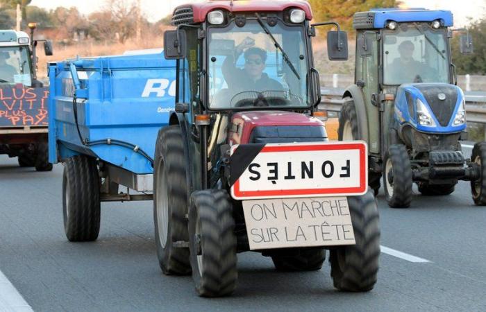 Des agriculteurs en colère se mobilisent ce lundi devant la préfecture de l’Hérault, à Montpellier