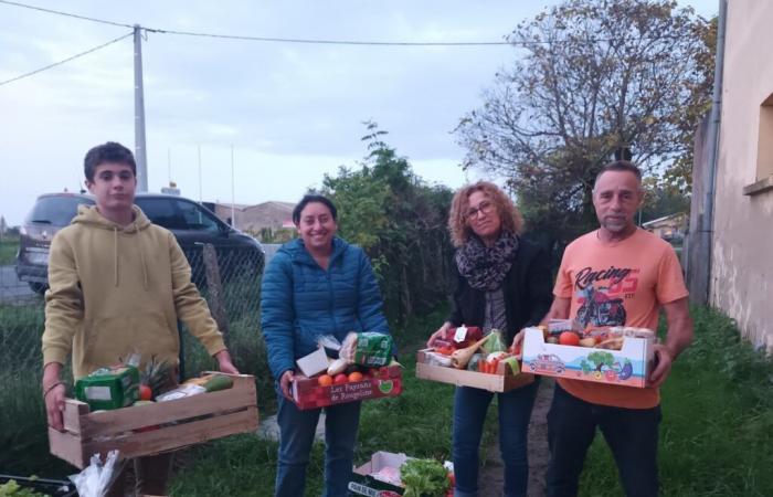 Cette association girondine organise des maraudes dans les vignes pour les sans-abri