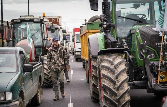 Manifestations de tracteurs, barrages, feux de détresse… Comment les agriculteurs vont-ils exprimer leur colère cette semaine ?