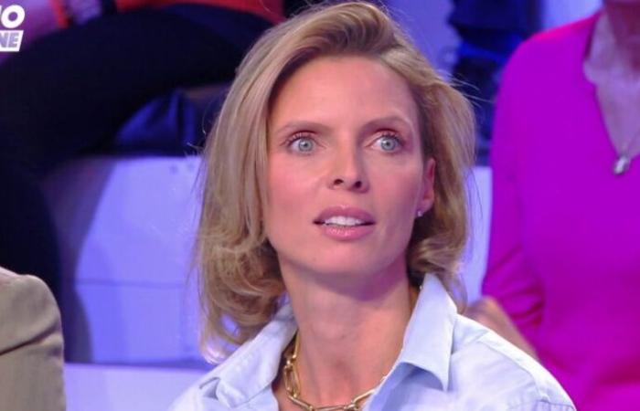 Sylvie Tellier dément avoir reçu « 12 millions d’euros » lors de son départ de Miss France