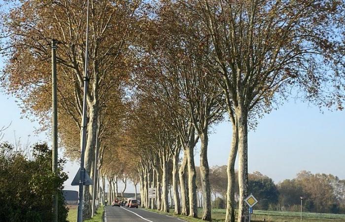 Cinq morts dans un dramatique accident de la route à Gaillac dans le Tarn, les victimes carbonisées