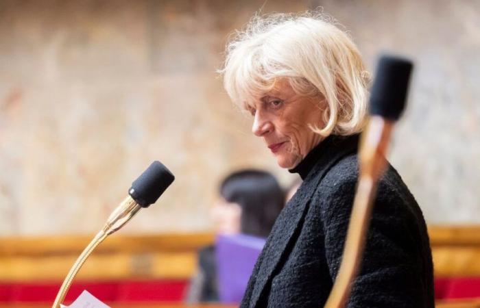 La députée RN Christine Engrand brise son silence et s’adresse aux médias dans un communiqué