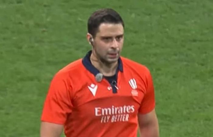 “Curieusement généreux”, l’arbitre visé en Nouvelle-Zélande après la France – All Blacks