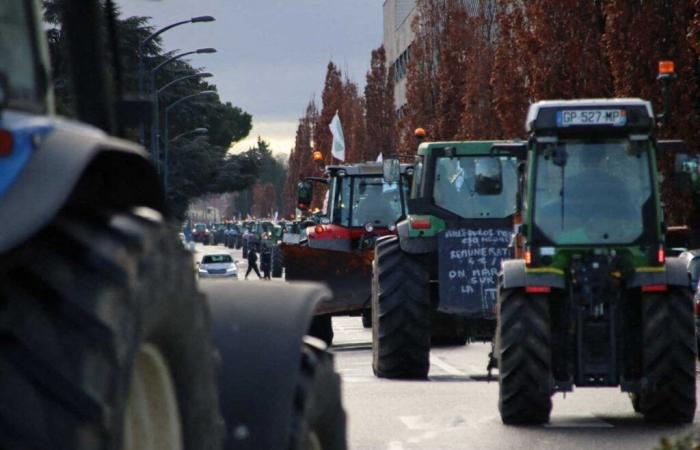 comment les agriculteurs vont se mobiliser lundi en Haute-Garonne