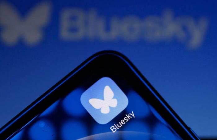 Bluesky constate une augmentation post-électorale du nombre de nouveaux utilisateurs au milieu de l’exode de X. Voici ce qu’il faut savoir sur la plateforme de médias sociaux.