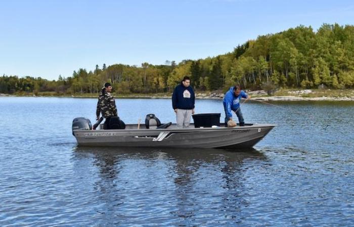 Grassy Narrows : la rivière venimeuse