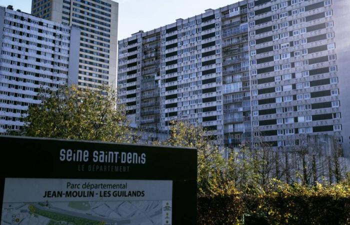 En Seine-Saint-Denis, un meilleur accompagnement vers l’emploi sans le fardeau du RSA – Libération