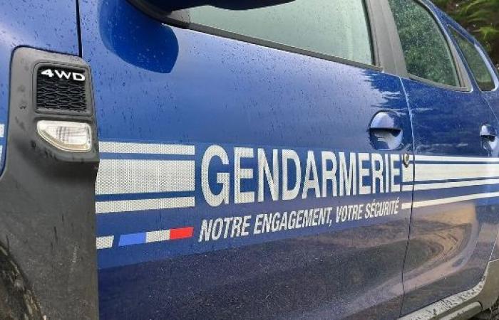 un jeune homme de 17 ans abattu en plein centre-ville de Rumilly