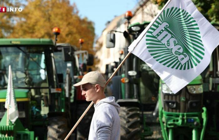 80 départements mobilisés dès ce dimanche, selon la FNSEA