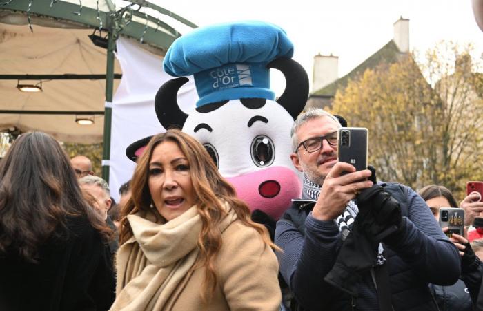 Eva Longoria, Jean Reno, Dominic West, Zabou Breitman, Constance Labbé, Patrick Paroux… rain of stars at the Hospices de Beaune