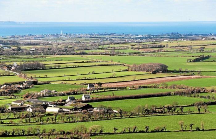 Il y a plus de 50 ans, le remembrement a transformé le paysage breton : un progrès à quel prix ?