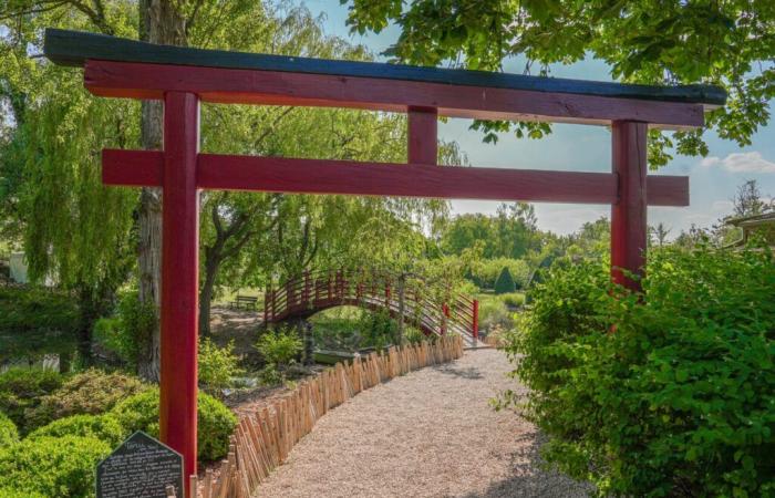 Le premier potager japonais de France est né dans un splendide jardin de l’Oise