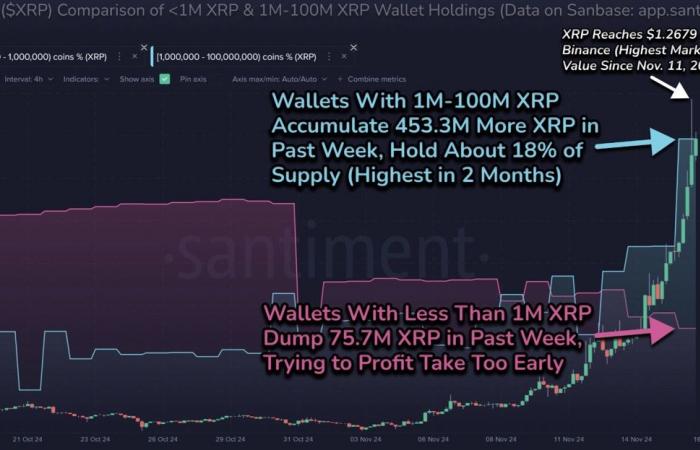 Le prix du XRP recule de 20 % après avoir atteint un sommet pluriannuel – Le sommet est-il atteint ?