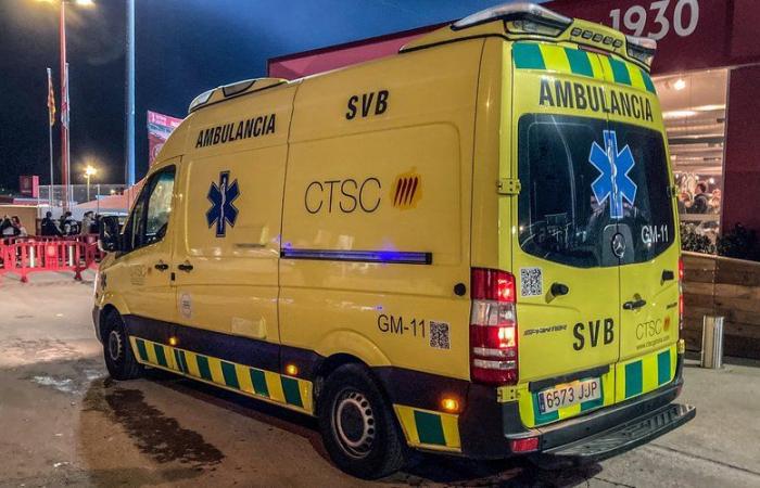 Un camion transportant des porcs tue deux personnes sur l’autoroute en Catalogne