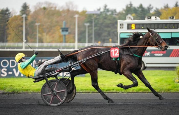 Frank Gio, la victoire d’une Italie conquérante