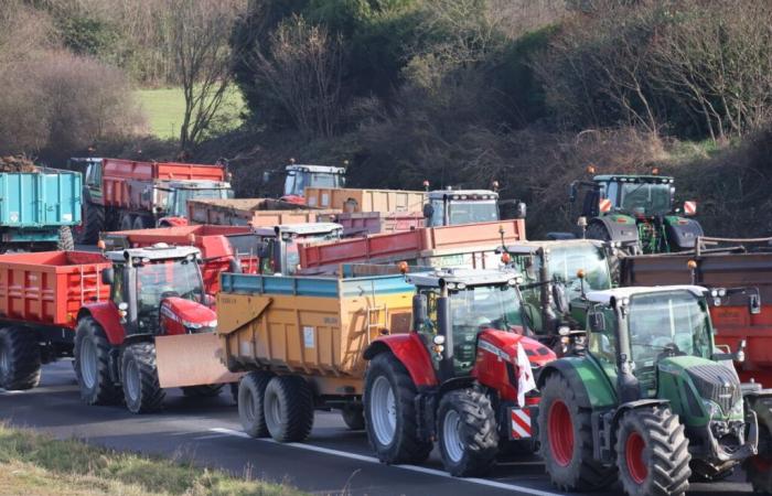 les agriculteurs sont annoncés sur trois ronds-points