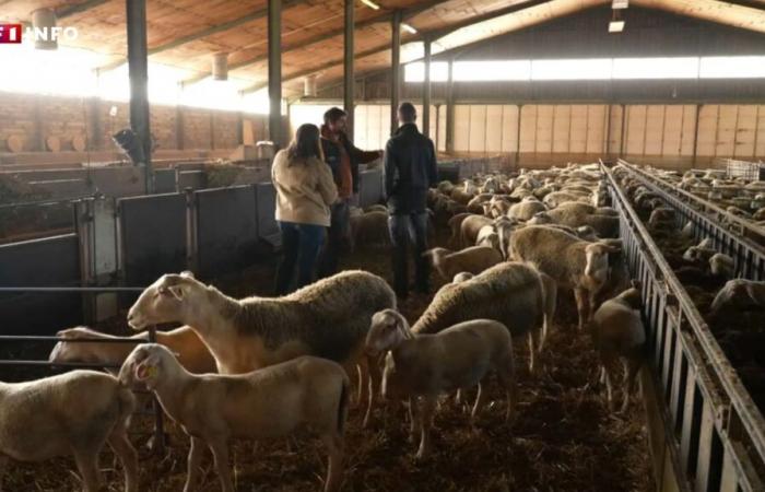 dans le Tarn-et-Garonne, ces agriculteurs sont prêts à se remobiliser