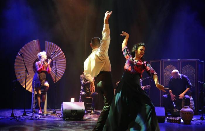 Flamenco, la danse des émotions flamboyantes