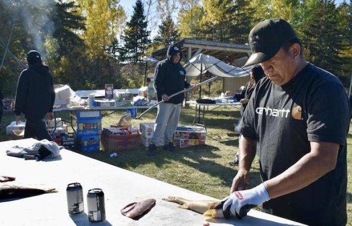 Grassy Narrows : la rivière venimeuse