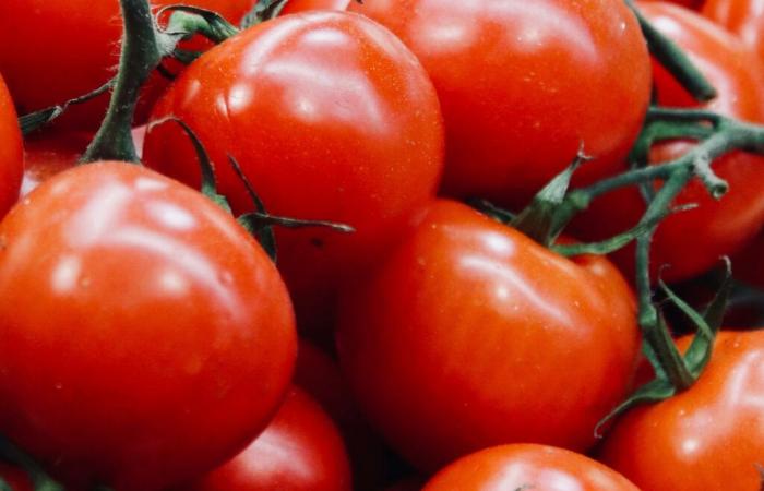 pourquoi faut-il manger des tomates ?