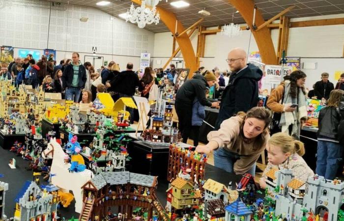 Dernier jour pour découvrir l’immense exposition Lego® à Saint-James