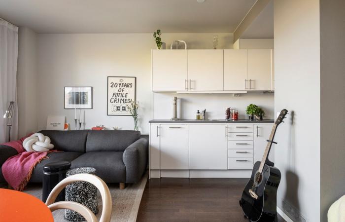 Un studio contemporain de 33m2 avec alcôve