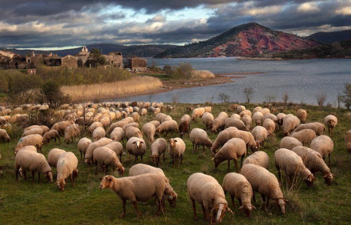 Georges Souche capture les nouvelles lumières et ambiances du Salagou et de son environnement