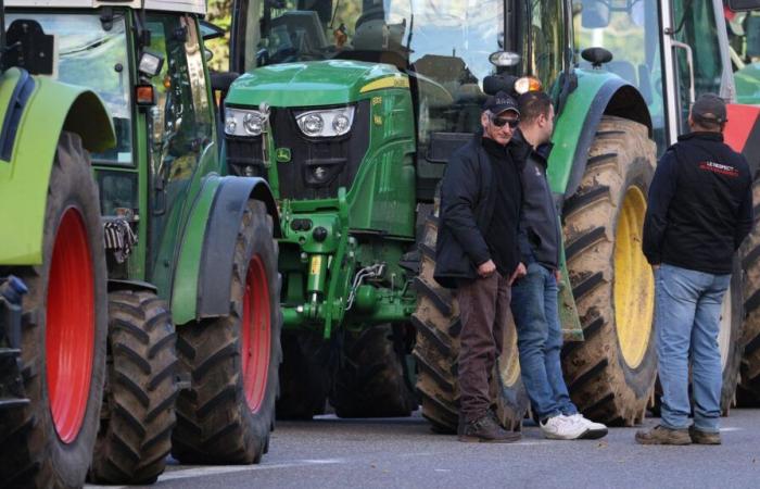 Des mobilisations attendues ce dimanche pour faire pression sur le gouvernement